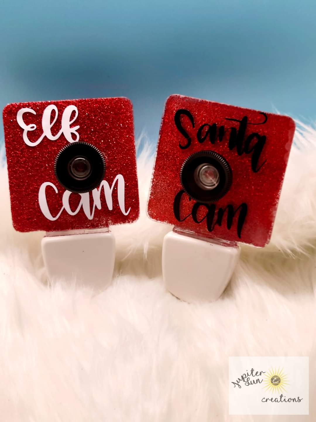 Santa cam